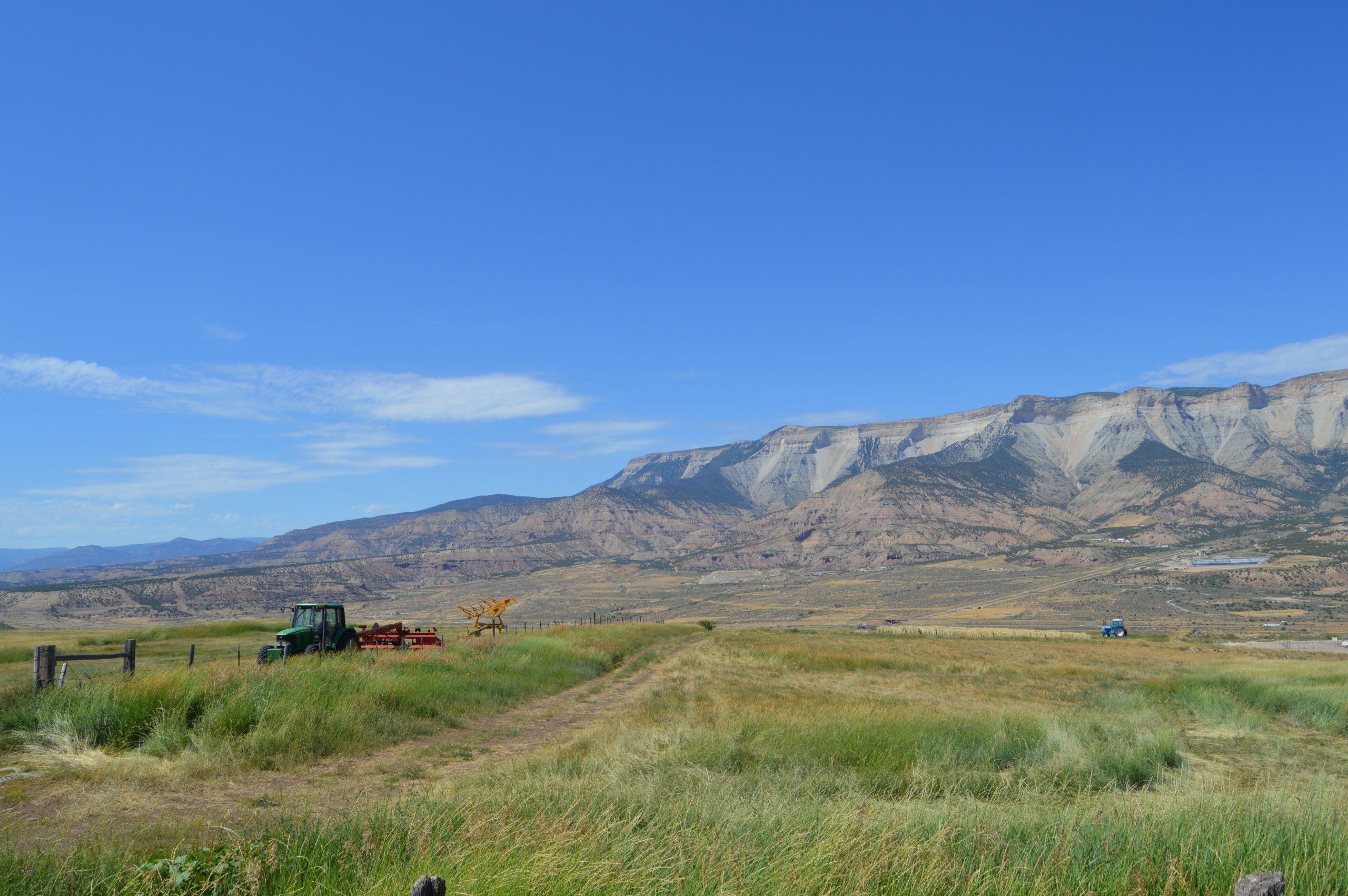 Lush farm field in Garfield County